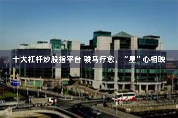 十大杠杆炒股指平台 骏马疗愈，“星”心相映