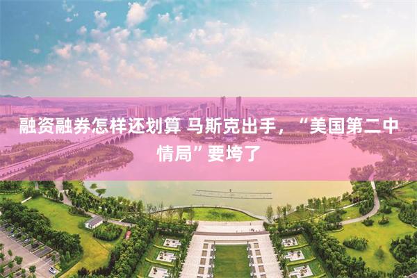 融资融券怎样还划算 马斯克出手,“美国第二中情局”要垮了