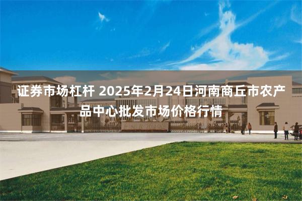 证券市场杠杆 2025年2月24日河南商丘市农产品中心批发市场价格行情