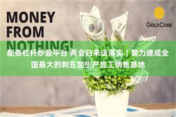 配资杠杆炒股平台 两会归来话落实｜聚力建成全国最大的刺五加生产加工销售基地