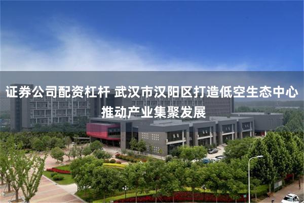 证券公司配资杠杆 武汉市汉阳区打造低空生态中心 推动产业集聚发展