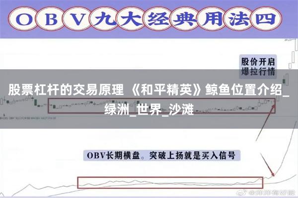 股票杠杆的交易原理 《和平精英》鲸鱼位置介绍_绿洲_世界_沙滩