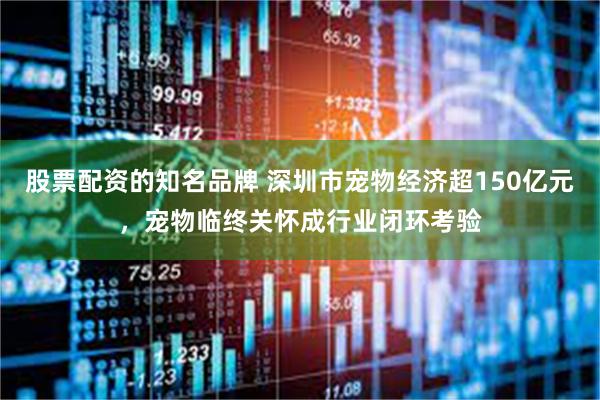 股票配资的知名品牌 深圳市宠物经济超150亿元，宠物临终关怀成行业闭环考验
