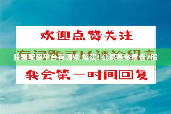 股票配资平台有哪些 爆买! 公募基金重仓7股