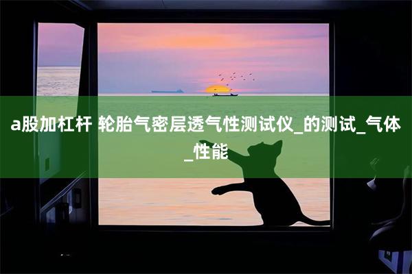 a股加杠杆 轮胎气密层透气性测试仪_的测试_气体_性能